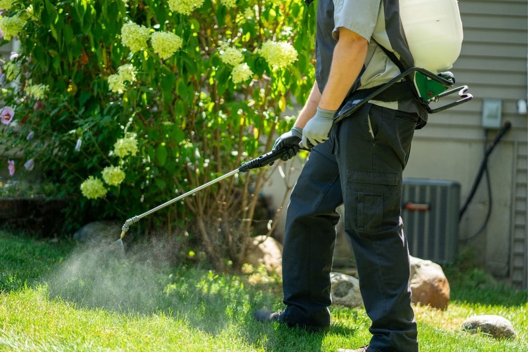 All Green Lawn Care About Our Team